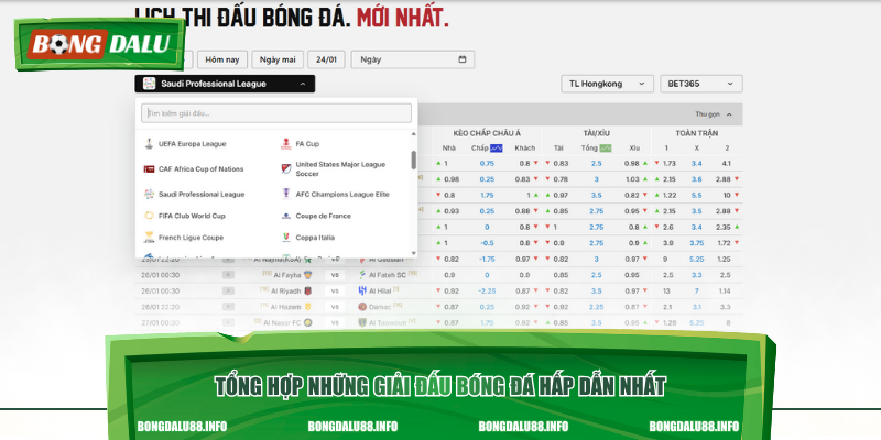 Tổng hợp những giải đấu bóng đá hấp dẫn nhất